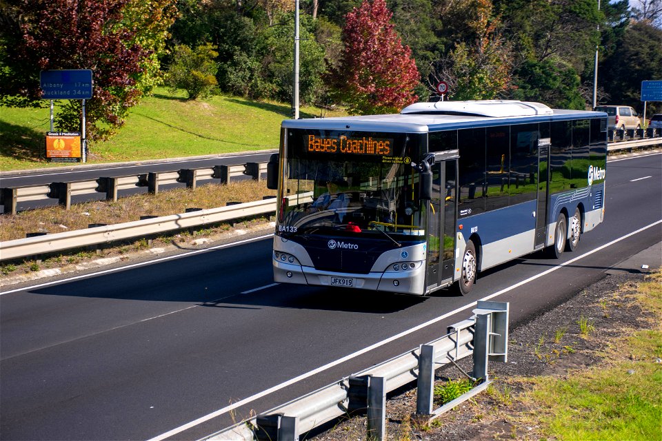 Bayes Coachlines 133