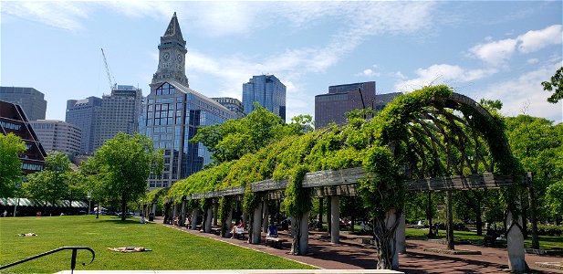 Side view of Trellis at Christopher Columbus Waterfront Park