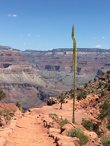 Scenic view in Grand Canyon national park photo