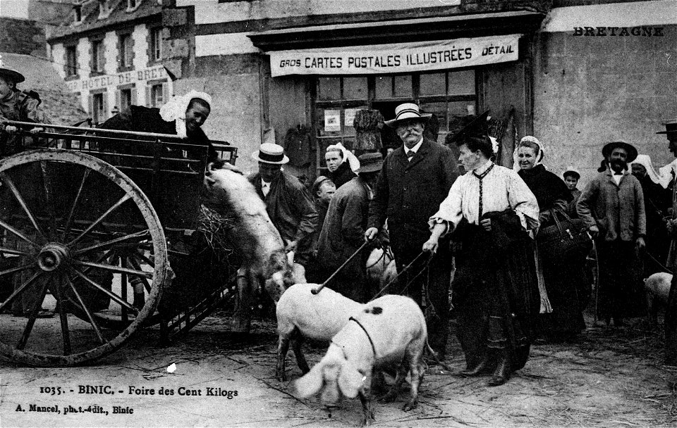 BINIC foire aux cochons vers 1900 CPA