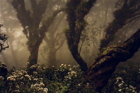Paisajes-3