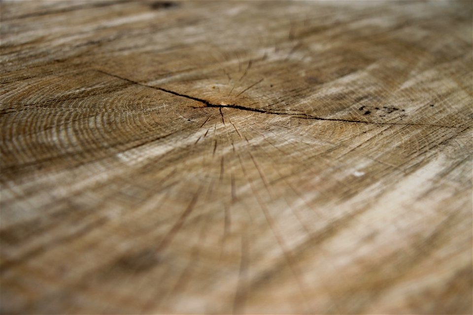 Wood