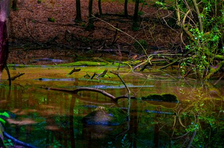 DSC_0289.jpg