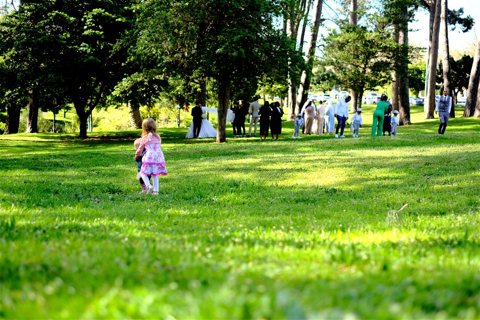 Liesbeek Park Wedding Party
