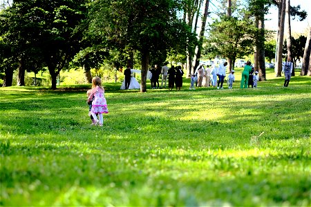 Liesbeek Park Wedding Party photo