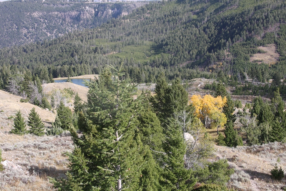 Yellowstone National Park Wyoming