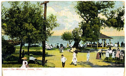 Salem Willows Postcard, 1906 photo
