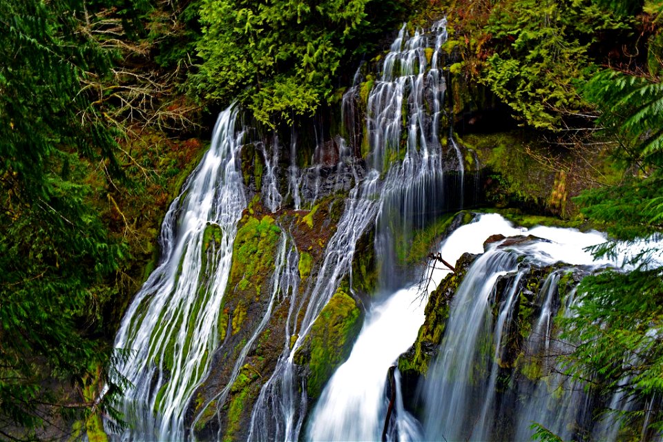 Panther Creek Falls_GiffordPinchotNF_PD