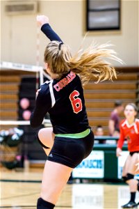 QO@Damascus-11