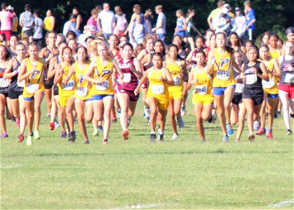 Piedmont XC
