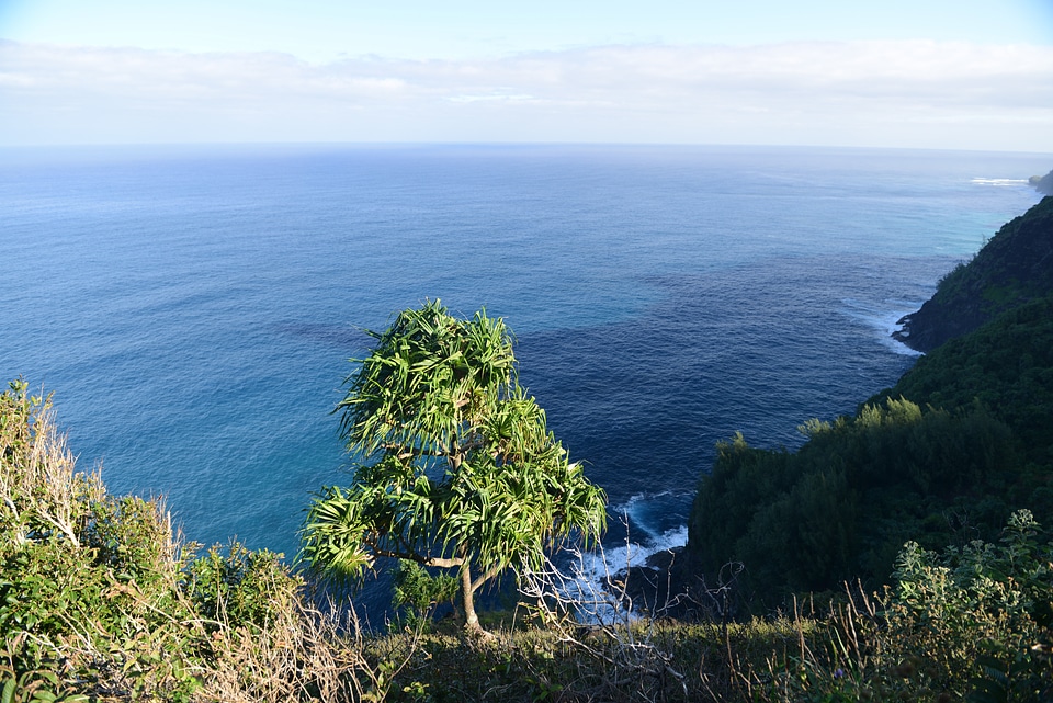 Coastline on the Kalalau trail in Kauai Hawaii