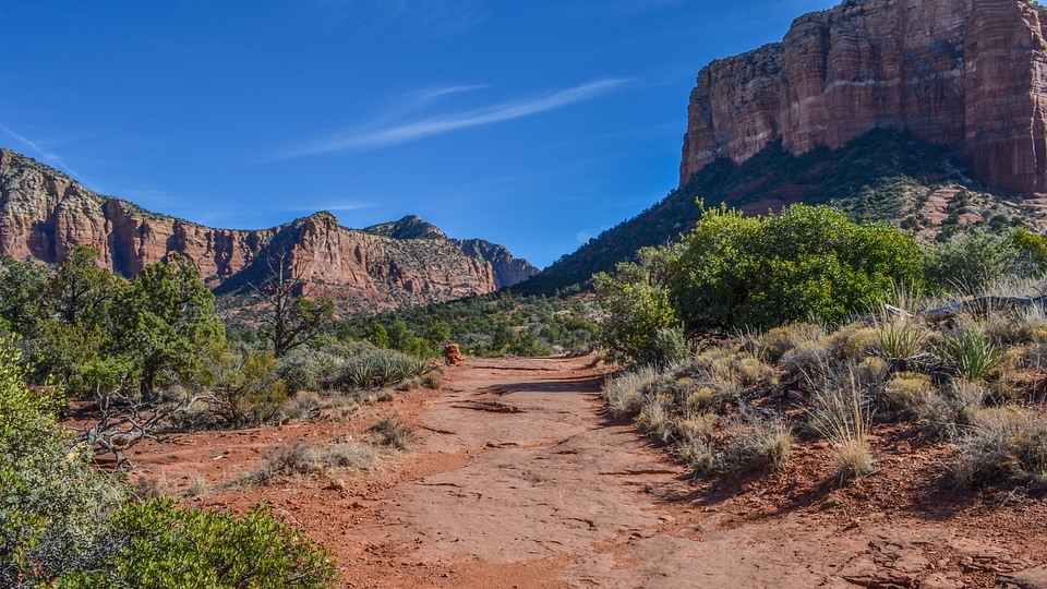 Coconino National Forest in Arizona