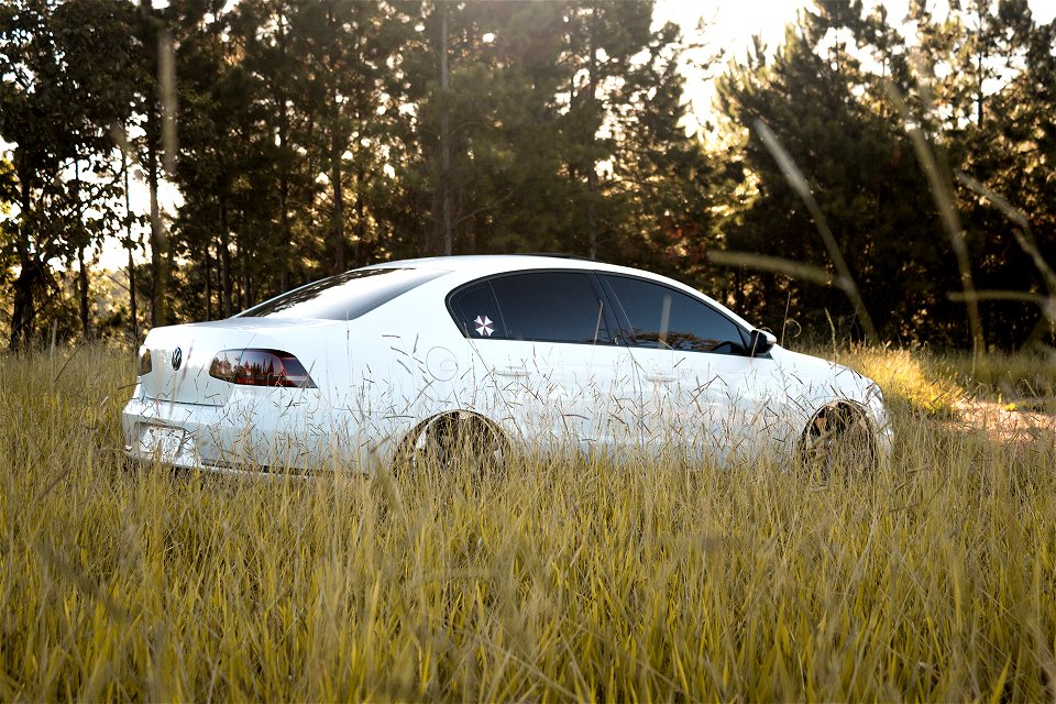 VW Passat