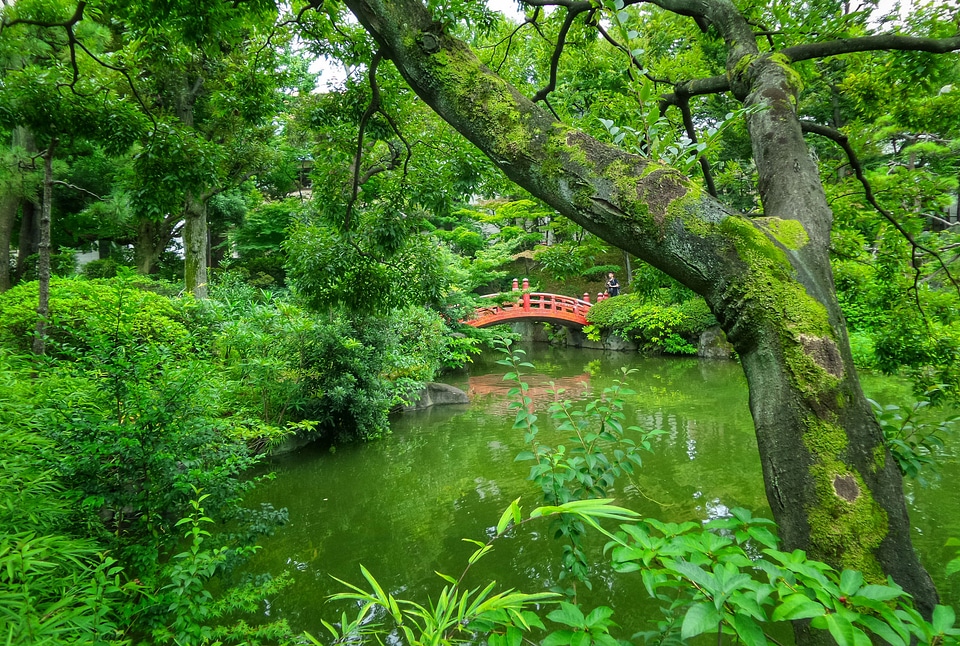 The beautiful Japanese garden