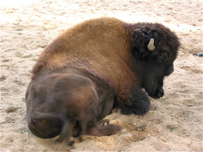Burgers' Zoo