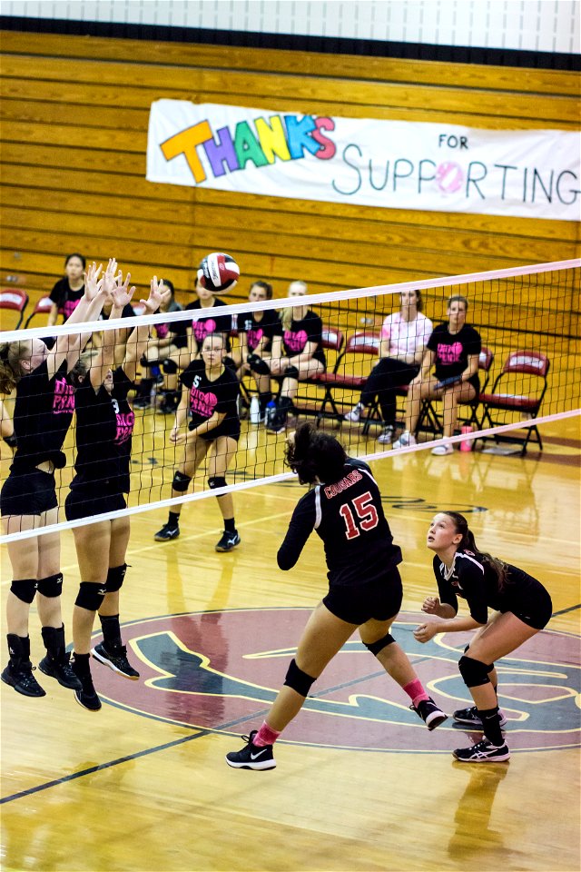 Poolesville@QO-8