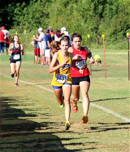 Piedmont XC