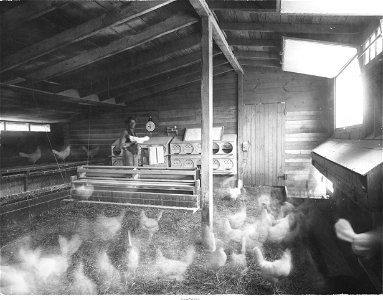 Trapnest House, interior, Cedar View Poultry Farm, Bridgeville