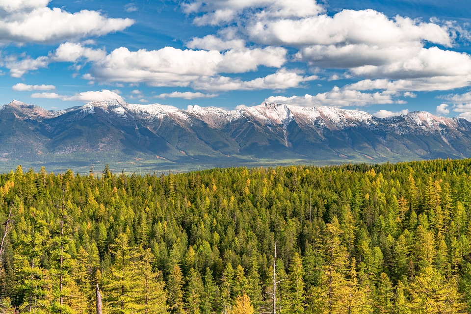 Flathead National Forest in Montana