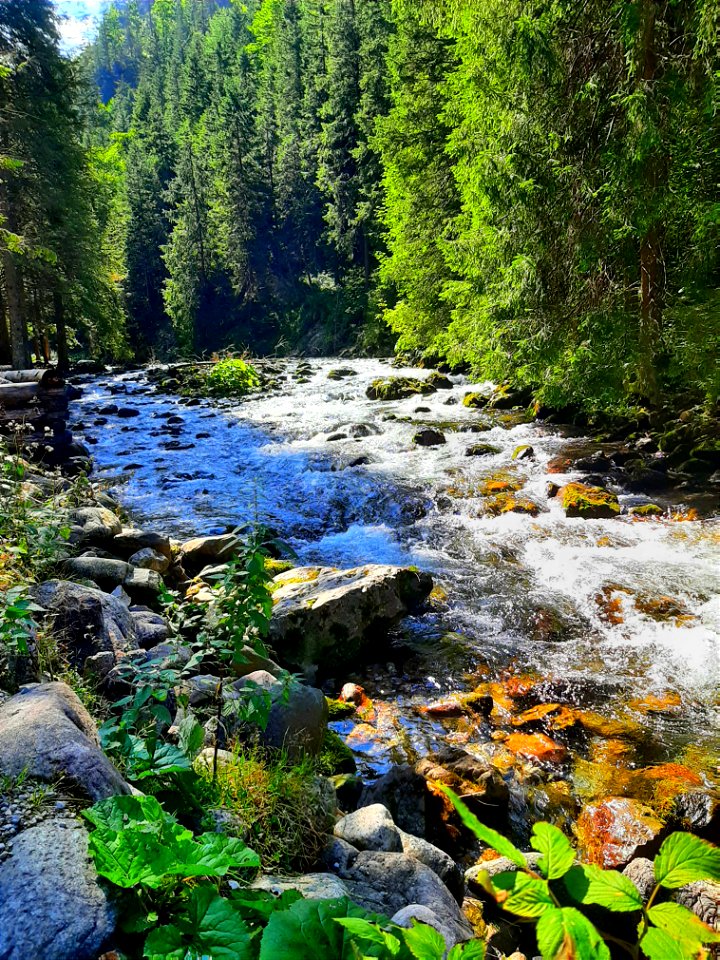 In The Mountains