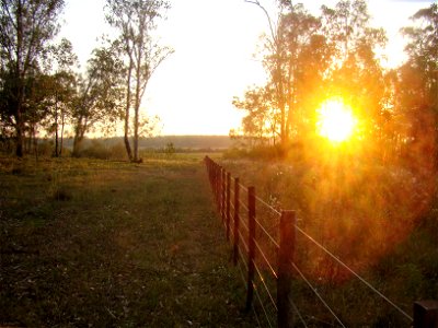 Atardecer