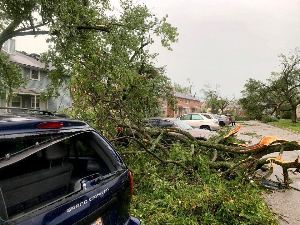 Hemlock Street. (PHOTO PFPD)