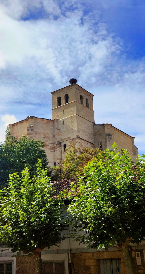Cervera de Pisuerga