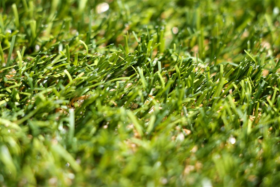 Fake grass close-up