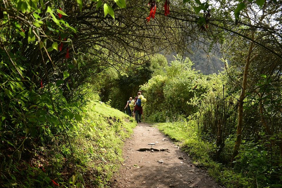 Inca trail to Machu Picchu, Cusco, Peru