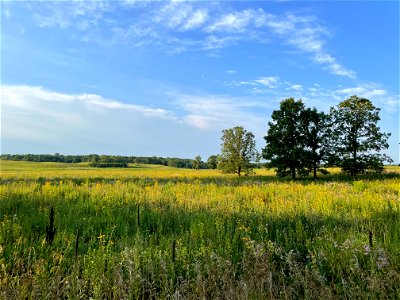 Park near Crow Wing River MN 2022 Aug