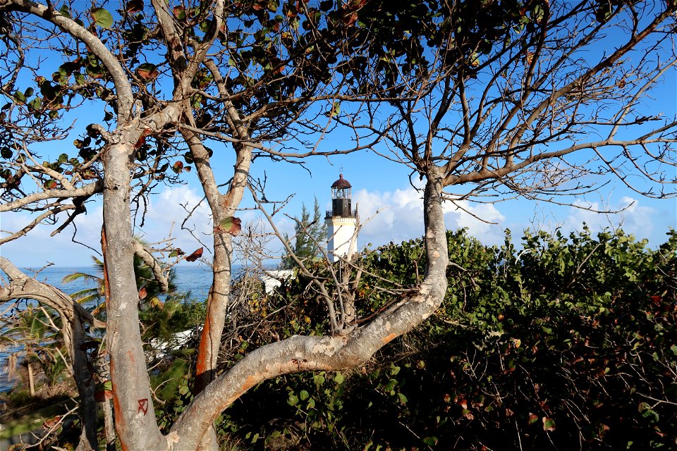 Punta Tuna Lighthouse Framed