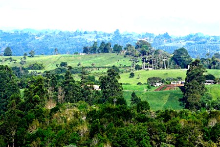 Paisaje en Quindío. Cordillera Central de Colombia. Camino Naciona. Vía a Toche y Cajamarca. photo