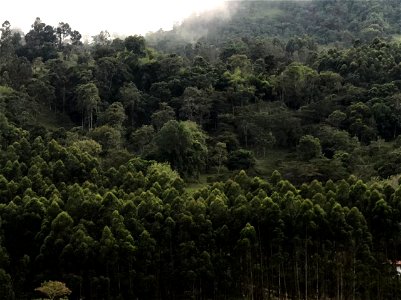 fotografía paisaje