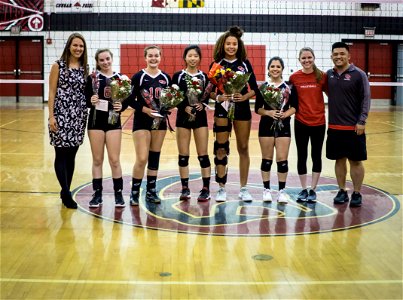PaintBranch@QO-18