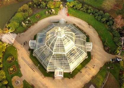 The Palm House. photo