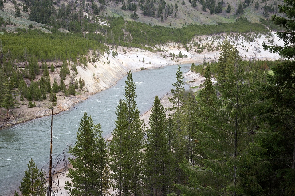 Mount Washburn Trail, Yellowstone National Park