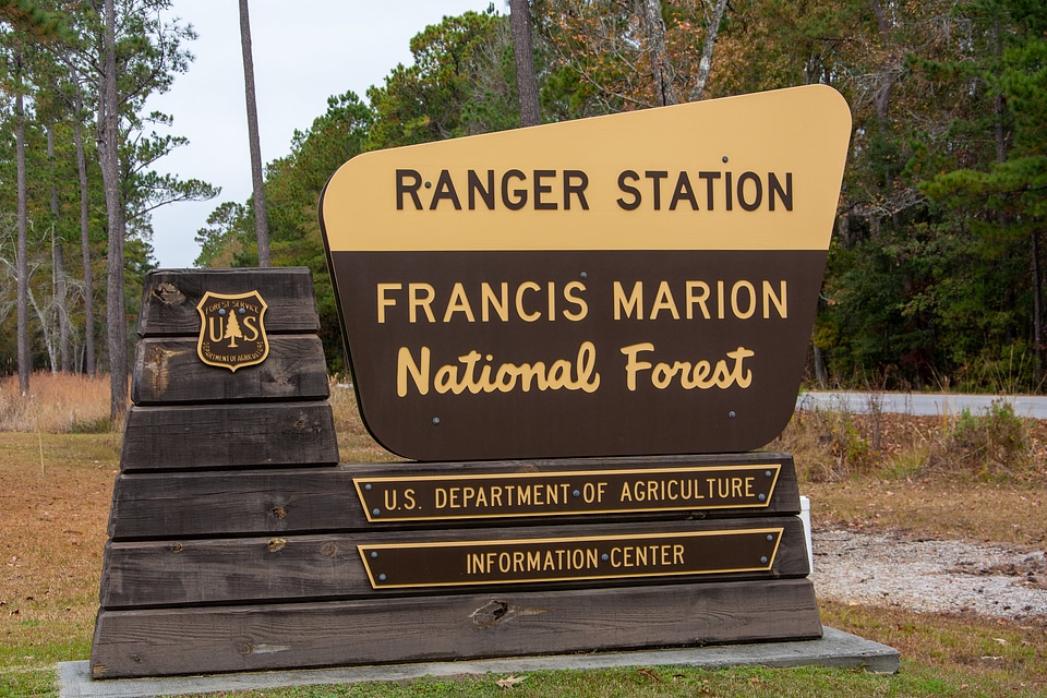 Francis Marion National Forest