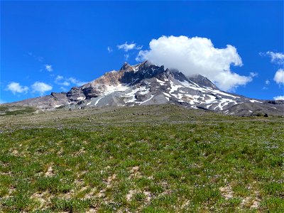 Paradise Park at Mt. Hood in OR photo