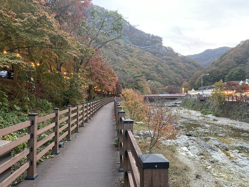 Fall Foliage Naejangsan National Park