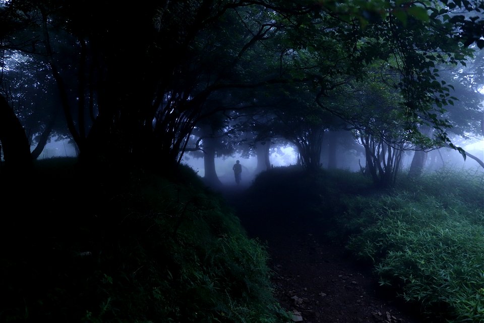 Deep forest