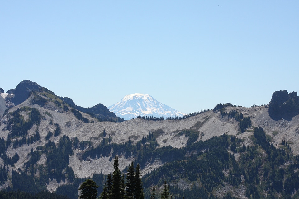 Paradise trail in Mount Rainier National Park, Washington