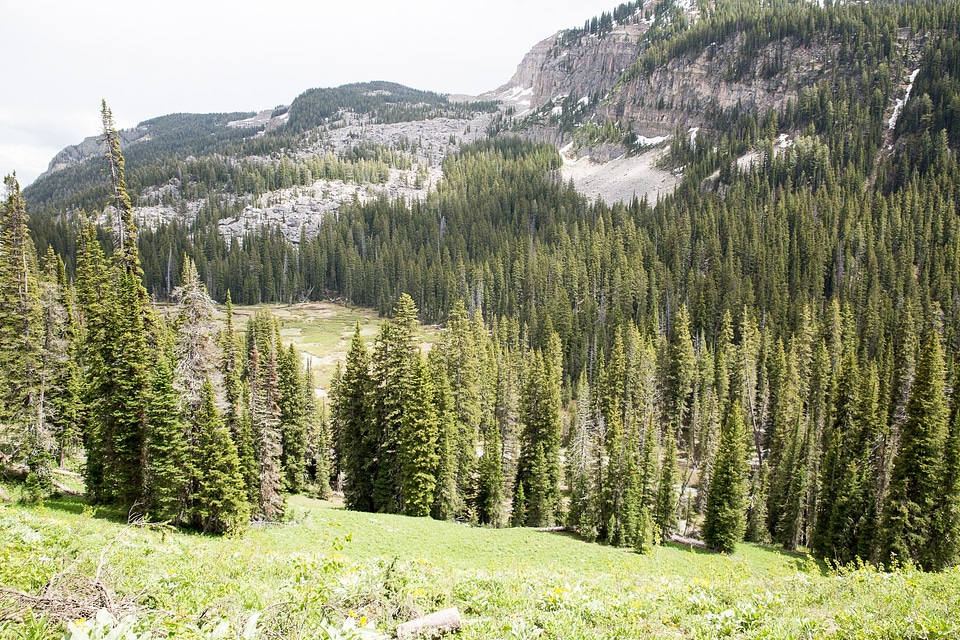 Granite Canyon in Grand Teton National Park