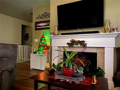 IMG_1558