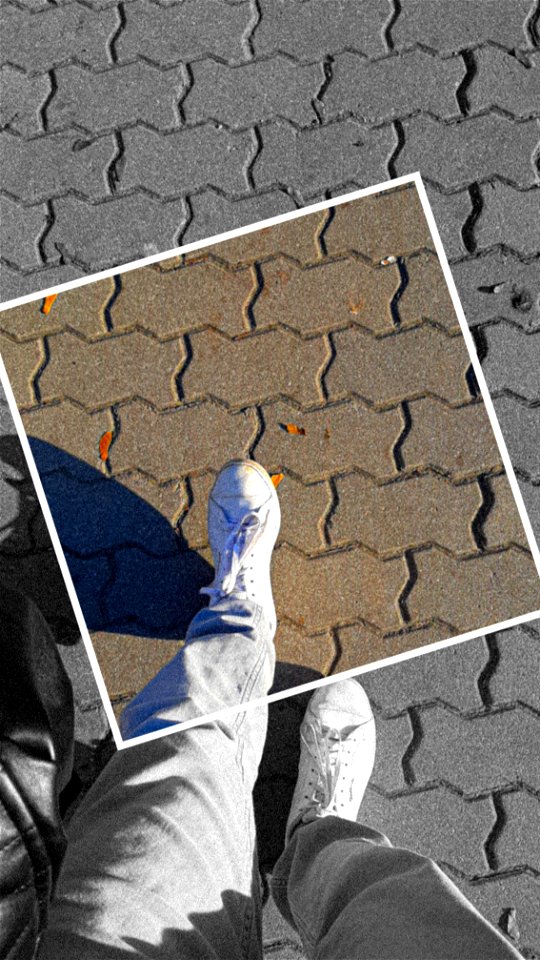 Step by Step in Autumn Weather