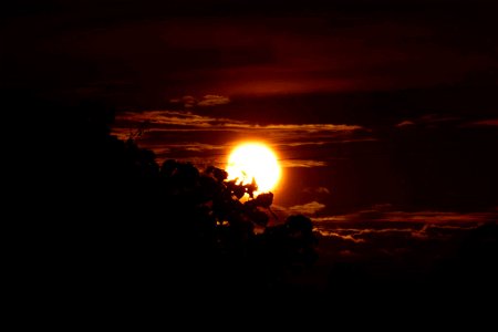 Puesta de sol - Sunset