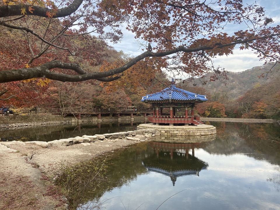 Fall Foliage Naejangsan National Park