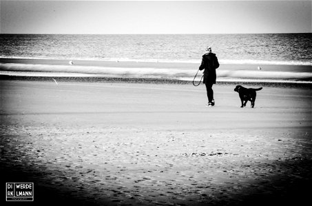 dog trail