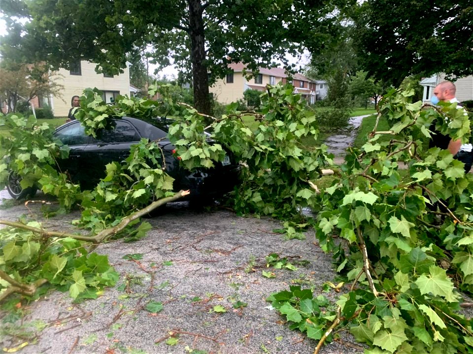 A car smashed on Dogwood Street. (PHOTO PFPD)