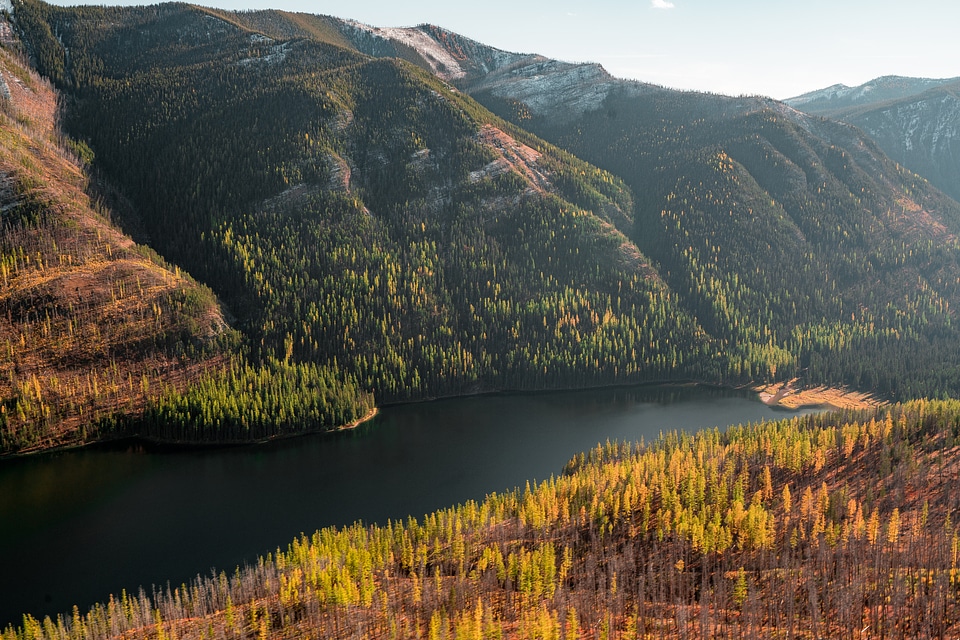 Flathead National Forest in Montana