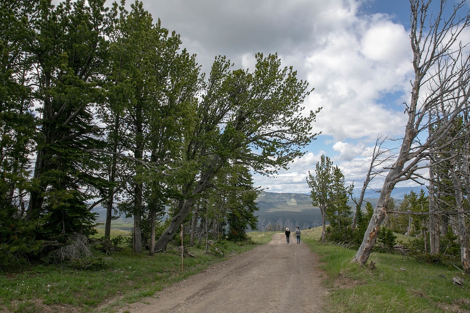 Hiking on Mt. Washburn